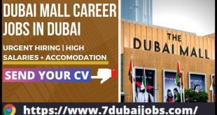 Dubai Mall Careers Jobs In Dubai