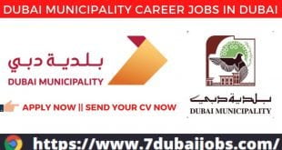 Dubai Municipality Careers Jobs In Dubai