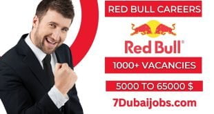 Red Bull Careers