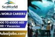 Sea World Careers