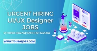 UX Designer Jobs