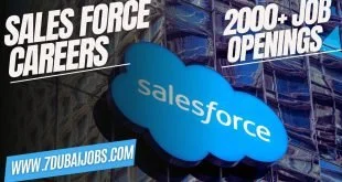 Salesforce Careers