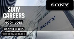 Sony Careers