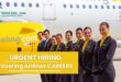 Vueling Airlines Careers