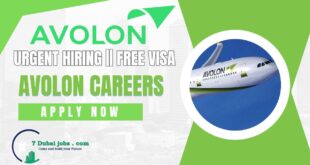 Avolon Careers